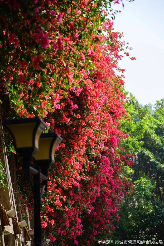 注意关窗!易感人群近期请注意戴口罩 注意关窗!易感人群近期请注意戴口罩
