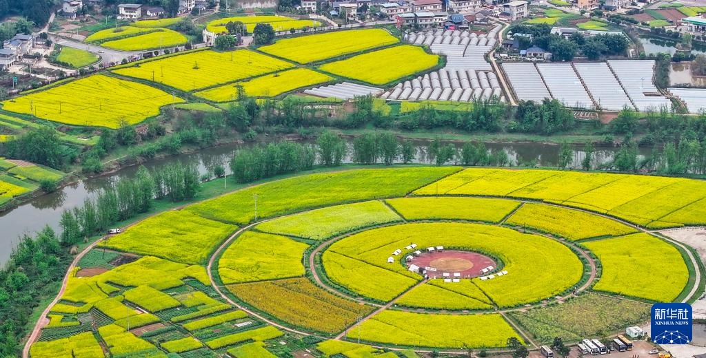 重庆潼南：油菜花开迎客来