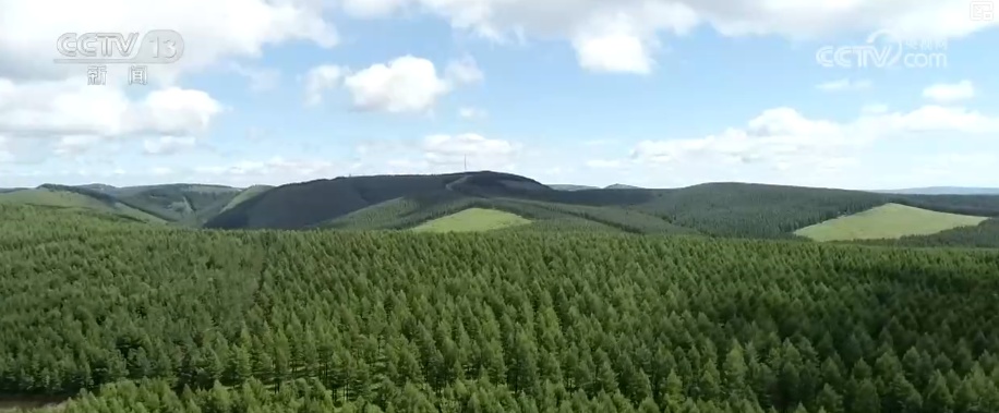 春植新绿既见“颜值”更有“内涵” “数”说绿色“家底”转化成惠民红利 春植新绿既见“颜值”更有“内涵” “数”说绿色“家底”转化成惠民红利