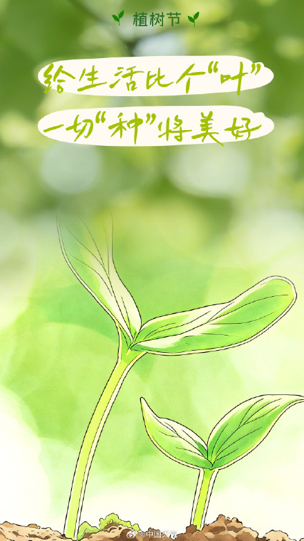 “植”此青绿 不负春光