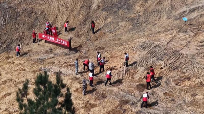 江西:因地种植适宜树种 增绿提质绿化祖国 江西:因地种植适宜树种 增绿提质绿化祖国