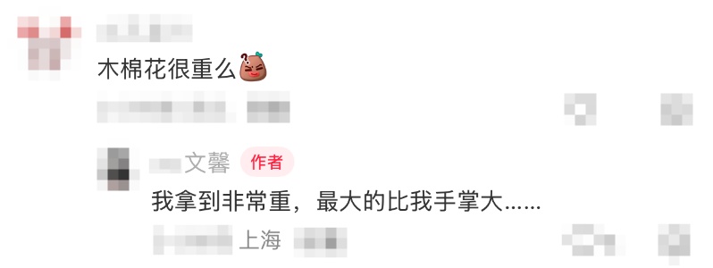 “千里送木棉”感动全网！上海网友一句“想看有多大、多红”，广州女生寄来春日浪漫