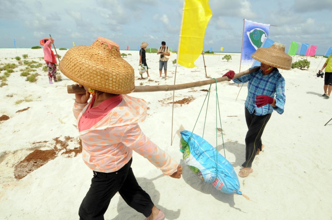 中国人种树到底有多厉害？