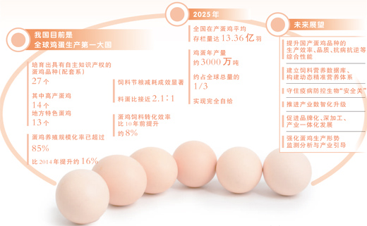 从鸡舍到餐桌，一枚让人放心的鸡蛋要经过几道关？