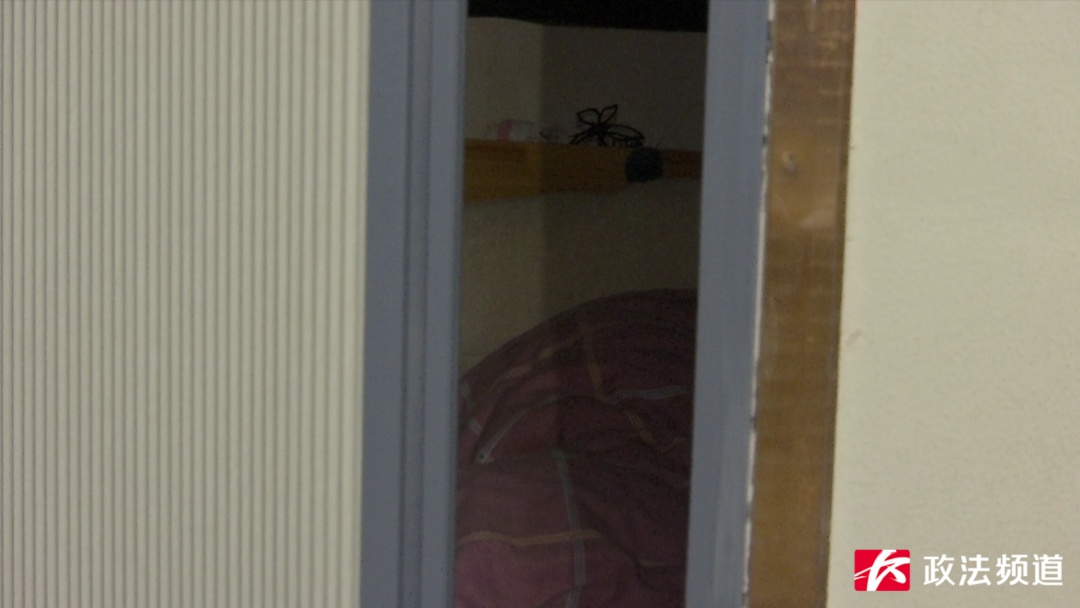 长沙一酒店客房竟成猫舍,有人投诉在此买到病猫…… 长沙一酒店客房竟成猫舍,有人投诉在此买到病猫……