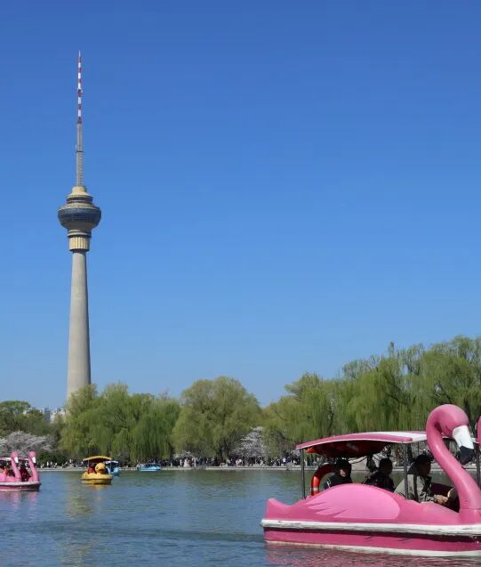 明起，北京五家市属公园游船开航！