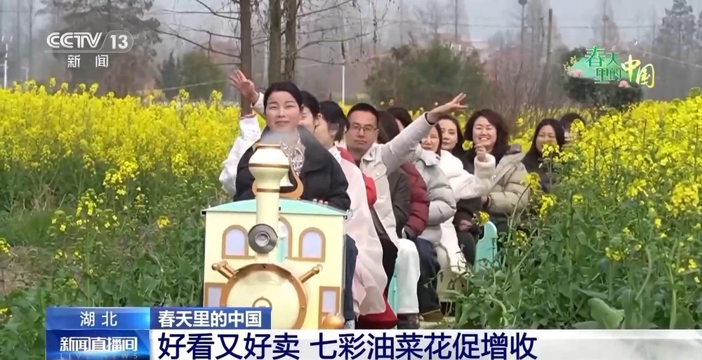 各地春日赏花有哪些好去处?请看这份赏花攻略 各地春日赏花有哪些好去处?请看这份赏花攻略