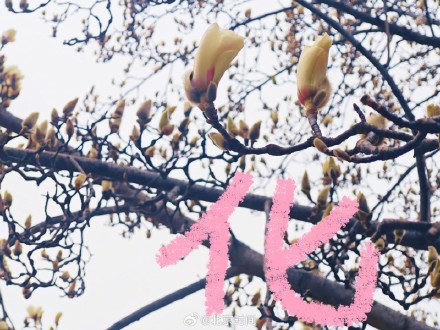 用八笔汉字收藏北京春日