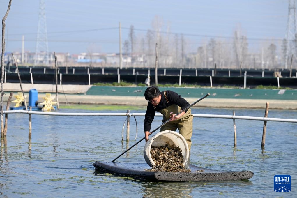 “90后”新农人的水上春耕季 “90后”新农人的水上春耕季