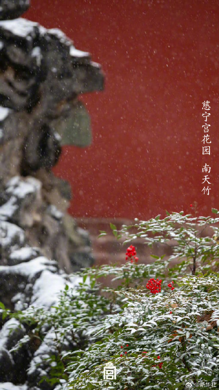 故宫春日氛围感大片上新了 故宫春日氛围感大片上新了