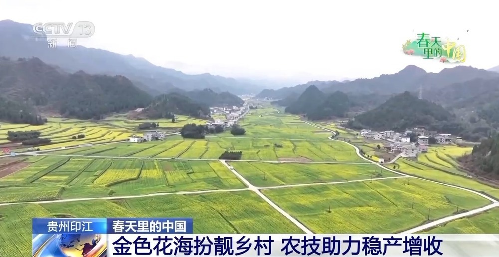 各地春日赏花有哪些好去处?请看这份赏花攻略 各地春日赏花有哪些好去处?请看这份赏花攻略