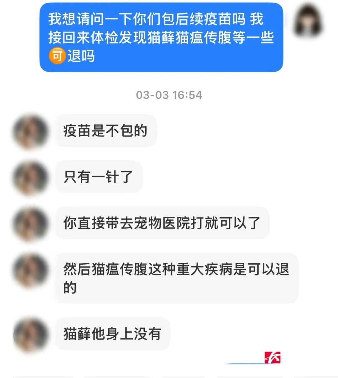 长沙一酒店客房竟成猫舍,有人投诉在此买到病猫…… 长沙一酒店客房竟成猫舍,有人投诉在此买到病猫……