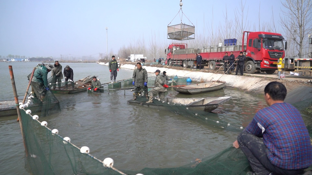 济宁南四湖连续22年放流鱼蟹 逾1600万尾苗种入湖修复生态 济宁南四湖连续22年放流鱼蟹 逾1600万尾苗种入湖修复生态