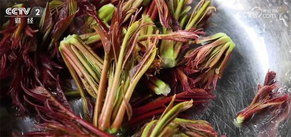 “赛事经济”“赏花经济”激活消费活力 文旅市场“百花齐放”升腾旺盛人气 “赛事经济”“赏花经济”激活消费活力 文旅市场“百花齐放”升腾旺盛人气