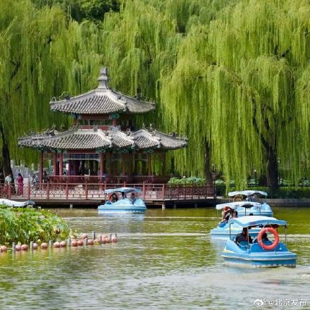 本周六起五家市属公园游船开航! 本周六起五家市属公园游船开航!