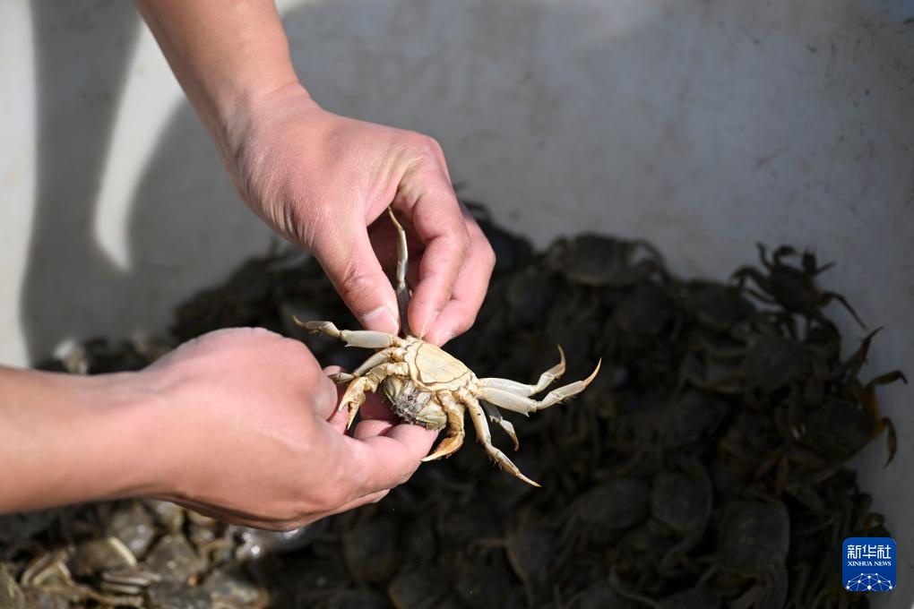 “90后”新农人的水上春耕季 “90后”新农人的水上春耕季