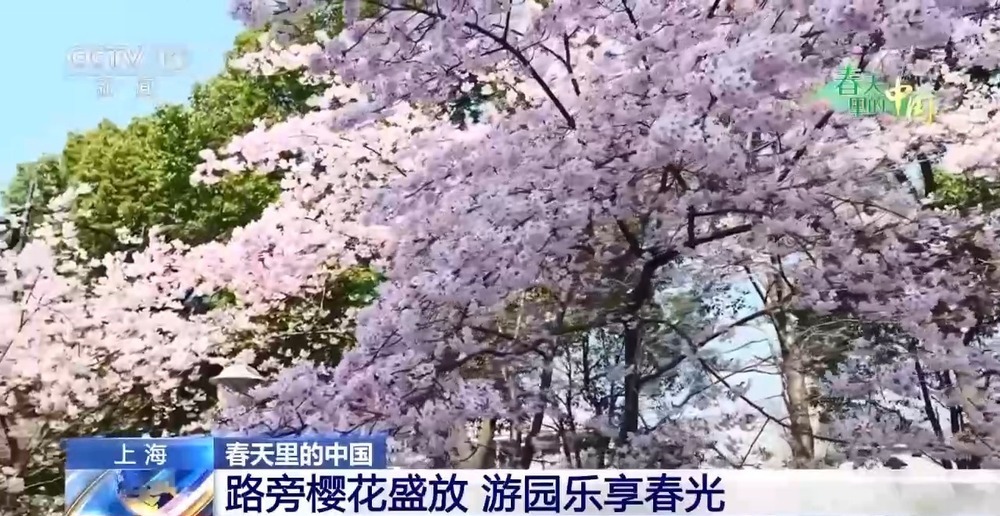 各地春日赏花有哪些好去处?请看这份赏花攻略 各地春日赏花有哪些好去处?请看这份赏花攻略