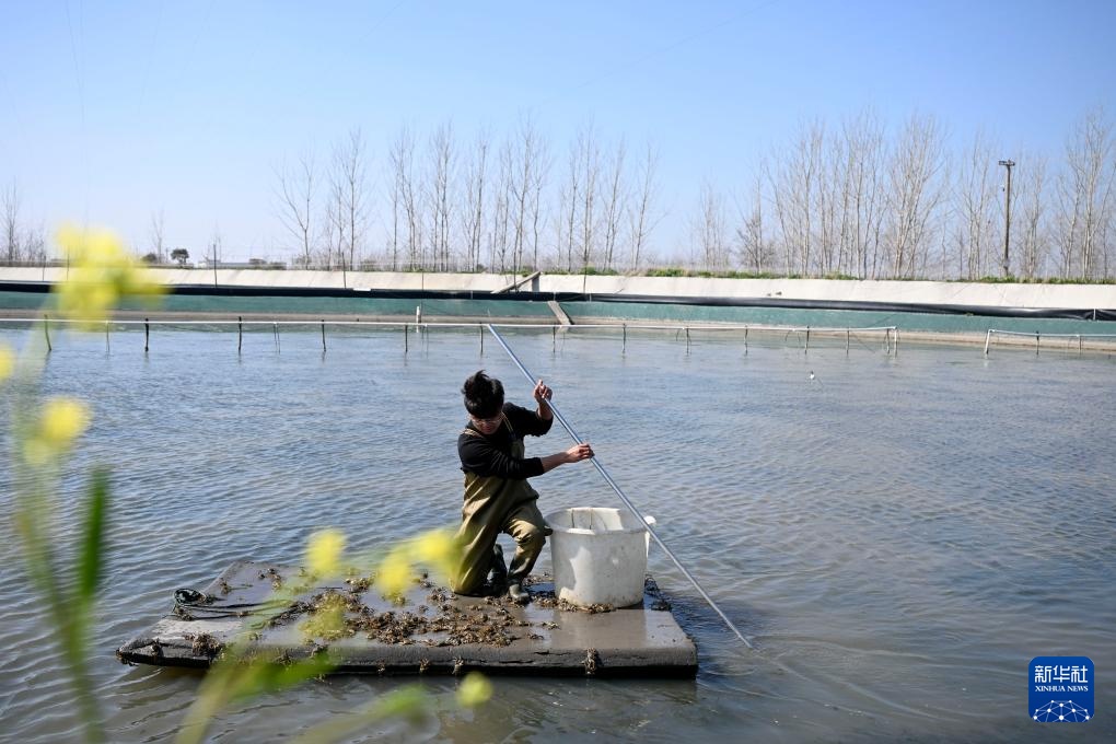 “90后”新农人的水上春耕季 “90后”新农人的水上春耕季