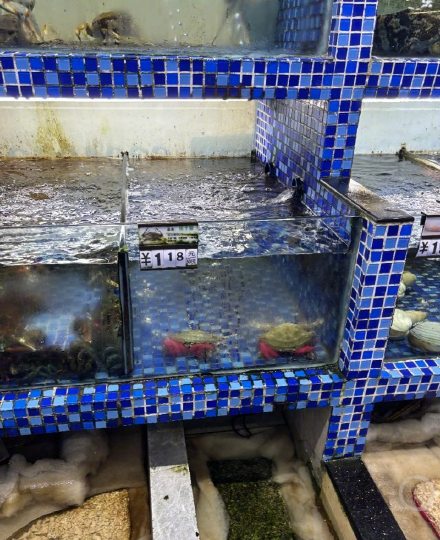 一只梭子蟹称重绑绳占近一半?水产市场“加重术”调查 一只梭子蟹称重绑绳占近一半?水产市场“加重术”调查