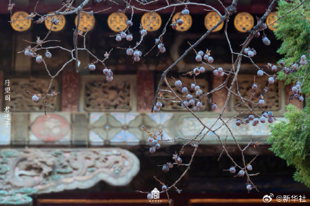 故宫春日氛围感大片上新了 故宫春日氛围感大片上新了