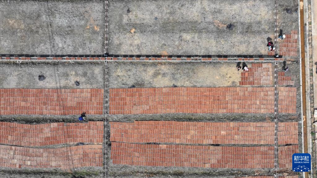 三湘大地备春耕 三湘大地备春耕