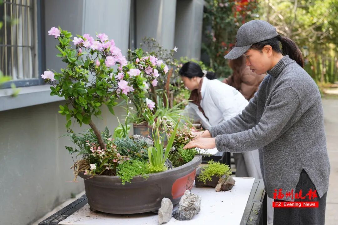 太美了!3万多株杜鹃!福州网红公园,要刷屏! 太美了!3万多株杜鹃!福州网红公园,要刷屏!