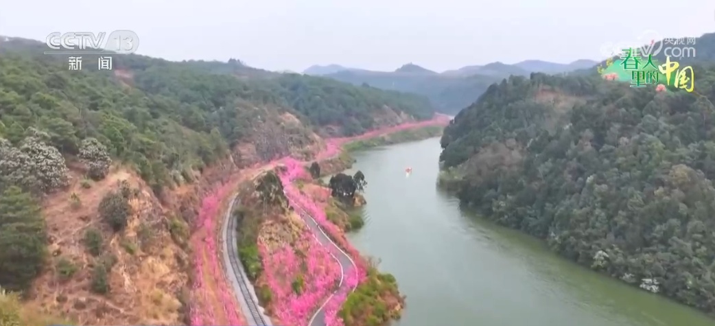 邂逅各地春日盛景 在姹紫嫣红中与这个春天撞个满怀 邂逅各地春日盛景 在姹紫嫣红中与这个春天撞个满怀