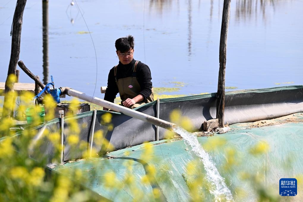 “90后”新农人的水上春耕季 “90后”新农人的水上春耕季