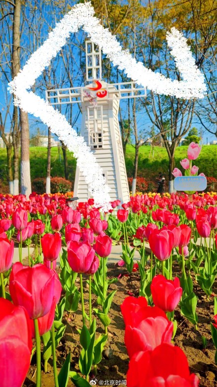 用八笔汉字收藏北京春日