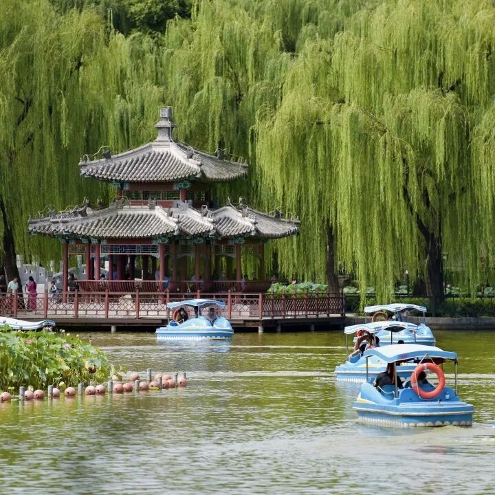 明起，北京五家市属公园游船开航！