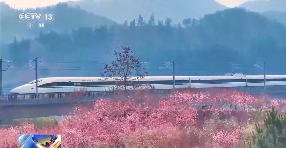 各地春日赏花有哪些好去处?请看这份赏花攻略 各地春日赏花有哪些好去处?请看这份赏花攻略