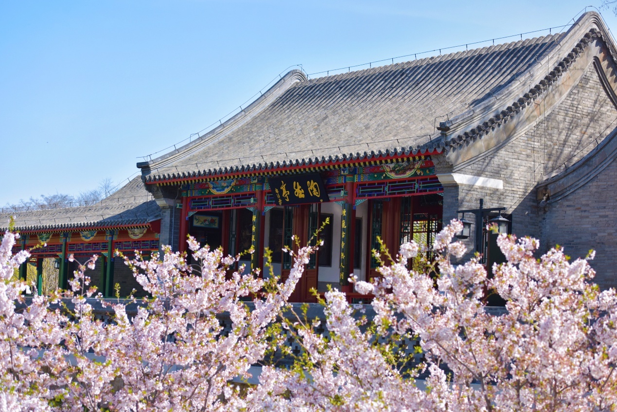 还等啥？快来陶然亭公园赏花吧！