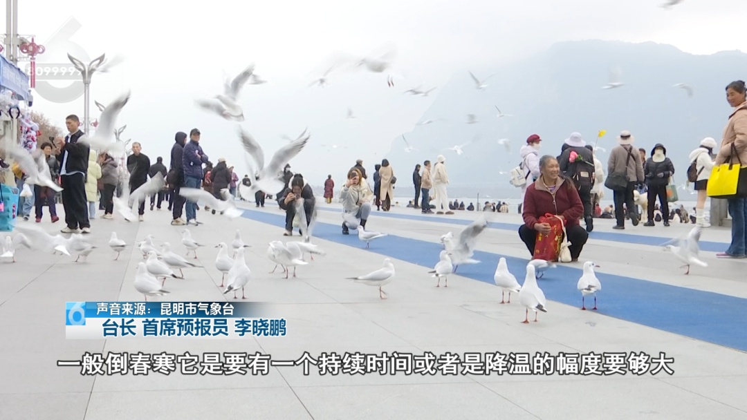 冷到破防!昆明最低仅8℃!冷雨突袭,是倒春寒吗?回暖要等…… 冷到破防!昆明最低仅8℃!冷雨突袭,是倒春寒吗?回暖要等……