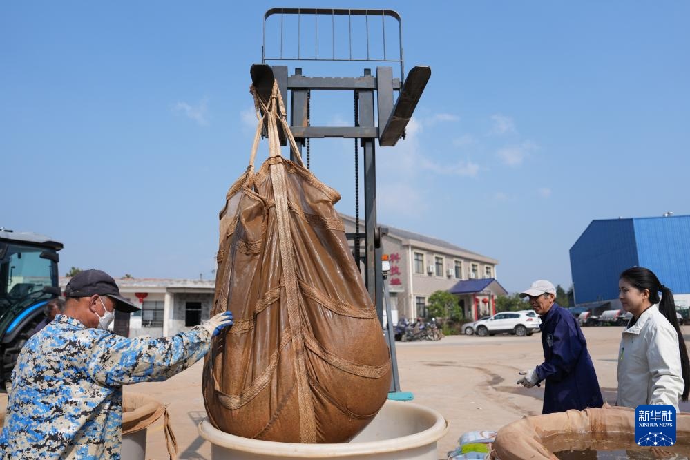 三湘大地备春耕 三湘大地备春耕