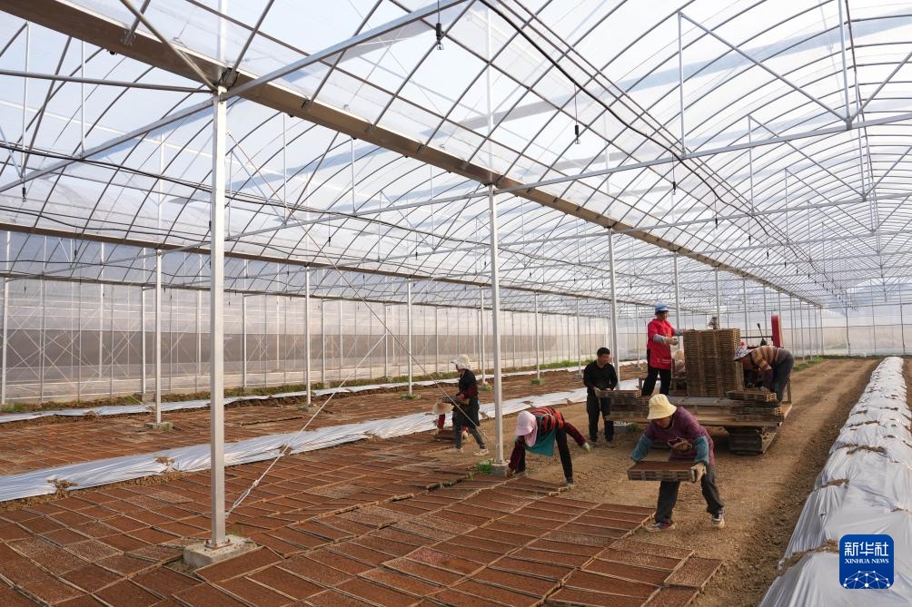 三湘大地备春耕 三湘大地备春耕