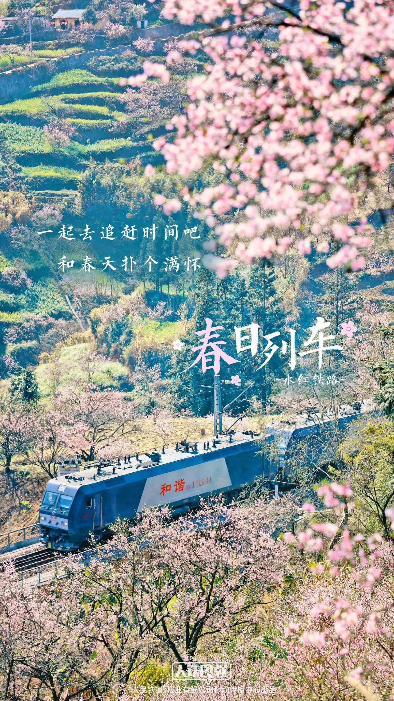 转存收藏!春日花海列车壁纸 转存收藏!春日花海列车壁纸