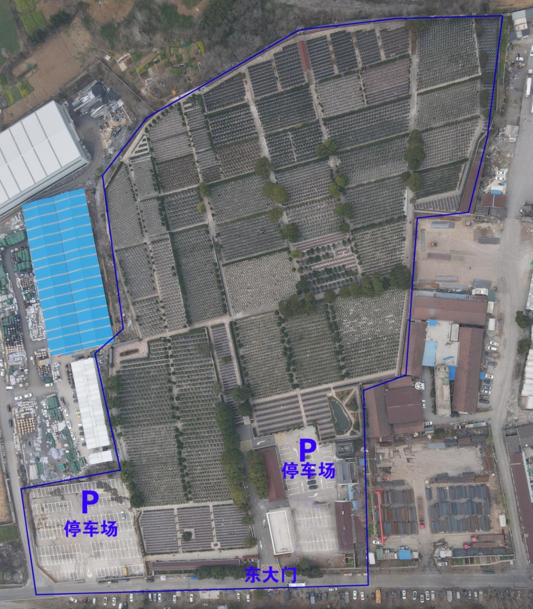 南京市民政局提醒：祭扫出行已进入高峰期