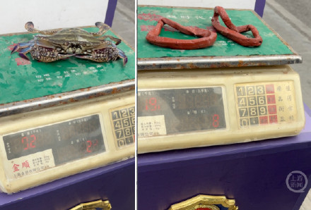 一只梭子蟹称重绑绳占近一半?水产市场“加重术”调查 一只梭子蟹称重绑绳占近一半?水产市场“加重术”调查