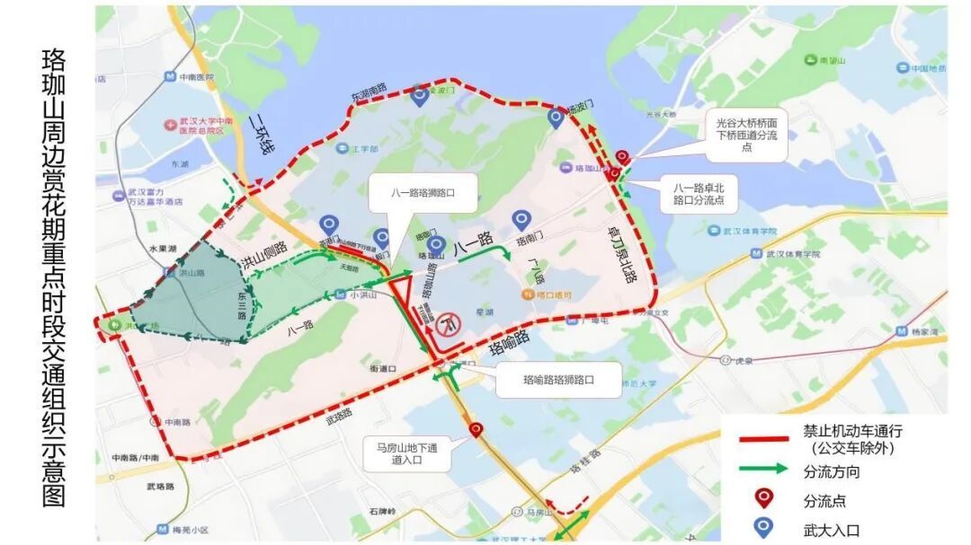 本周末赏花热，武汉交警发布出行提醒