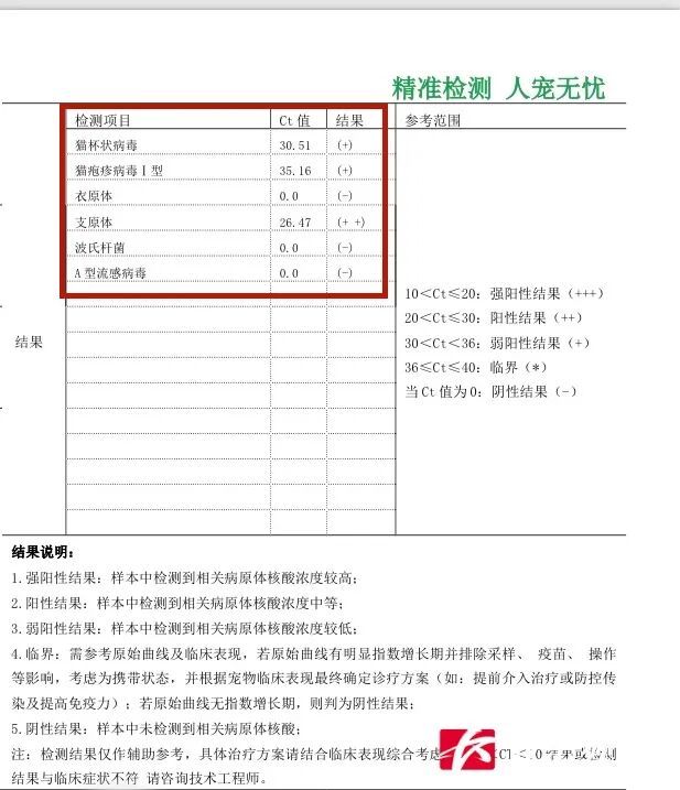 长沙一酒店客房竟成猫舍,有人投诉在此买到病猫…… 长沙一酒店客房竟成猫舍,有人投诉在此买到病猫……