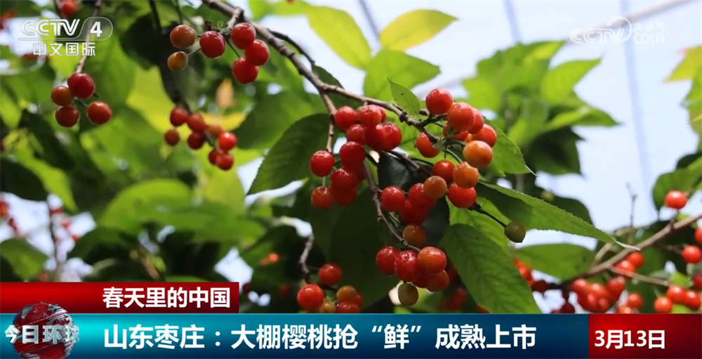 一幅幅生机盎然的“科技春耕图”徐徐铺展 春日限定美景成为亮眼风景线 一幅幅生机盎然的“科技春耕图”徐徐铺展 春日限定美景成为亮眼风景线