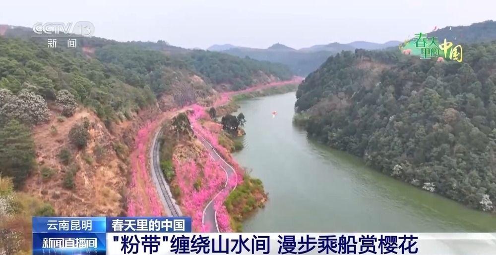 各地春日赏花有哪些好去处?请看这份赏花攻略 各地春日赏花有哪些好去处?请看这份赏花攻略