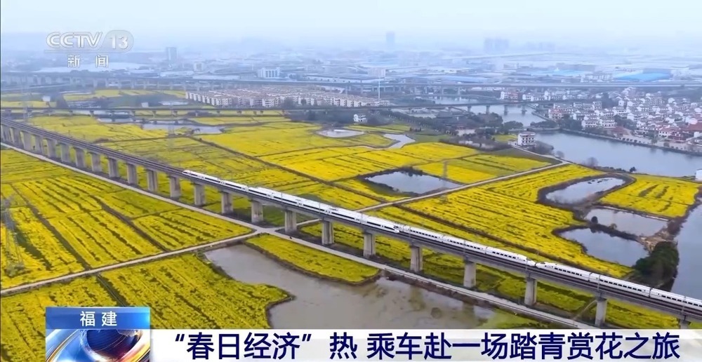 各地春日赏花有哪些好去处?请看这份赏花攻略 各地春日赏花有哪些好去处?请看这份赏花攻略