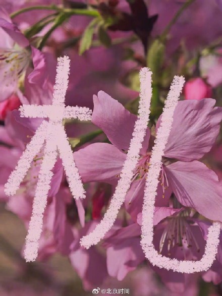 用八笔汉字收藏北京春日
