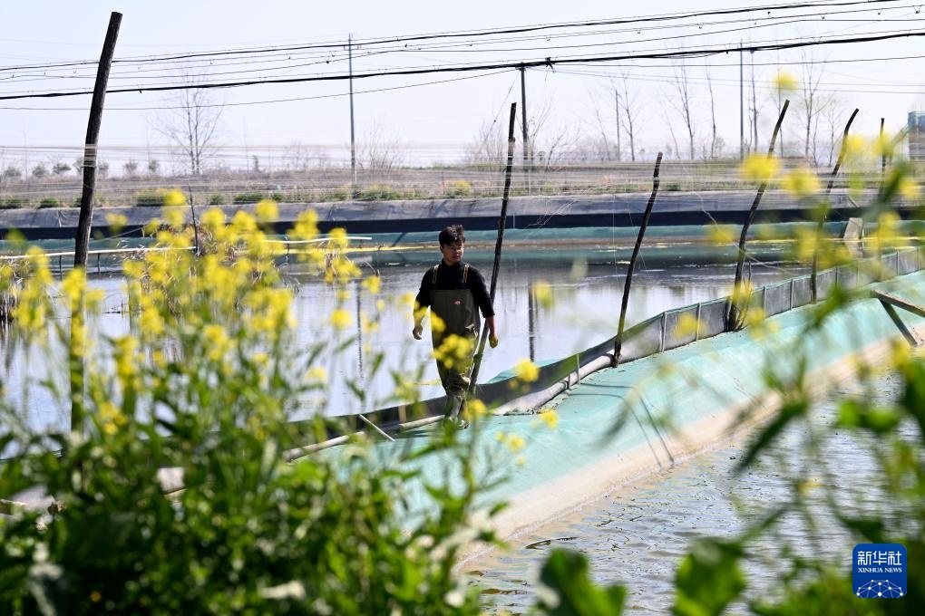 “90后”新农人的水上春耕季 “90后”新农人的水上春耕季