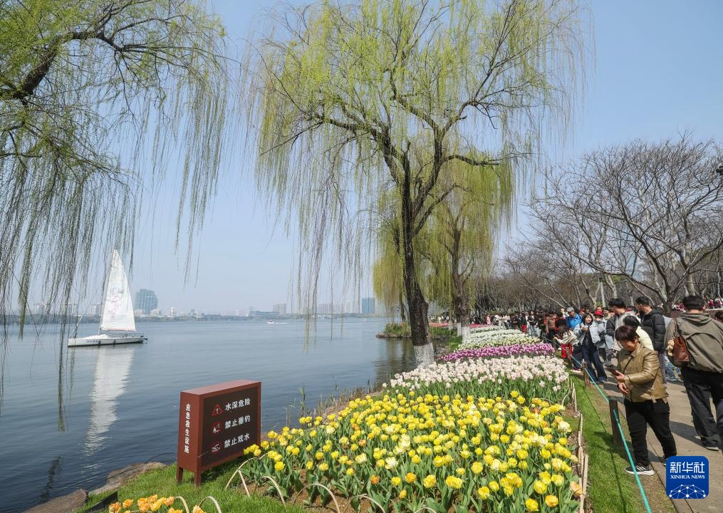 春季湖畔花海迎客来 春季湖畔花海迎客来
