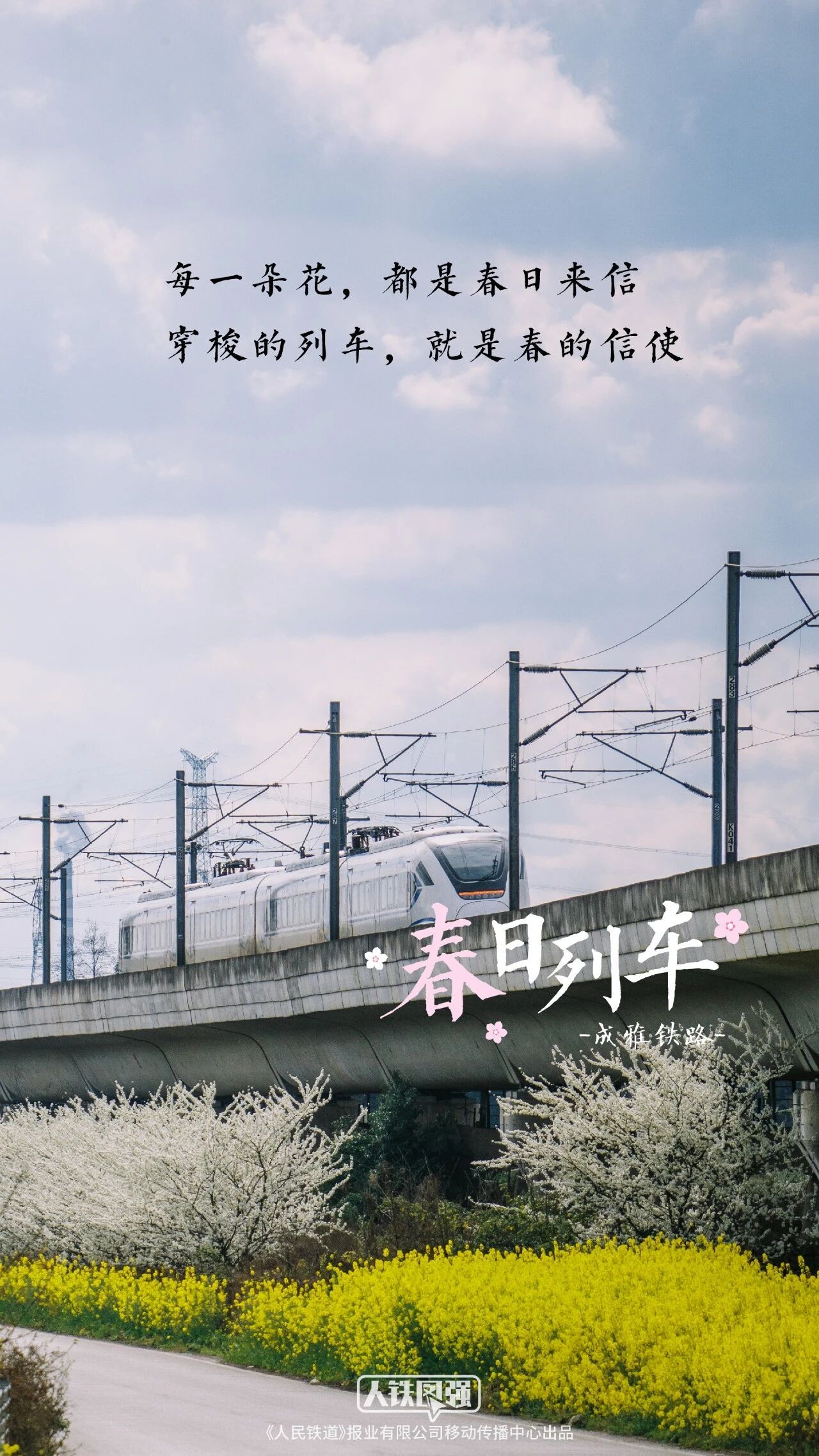 转存收藏!春日花海列车壁纸 转存收藏!春日花海列车壁纸