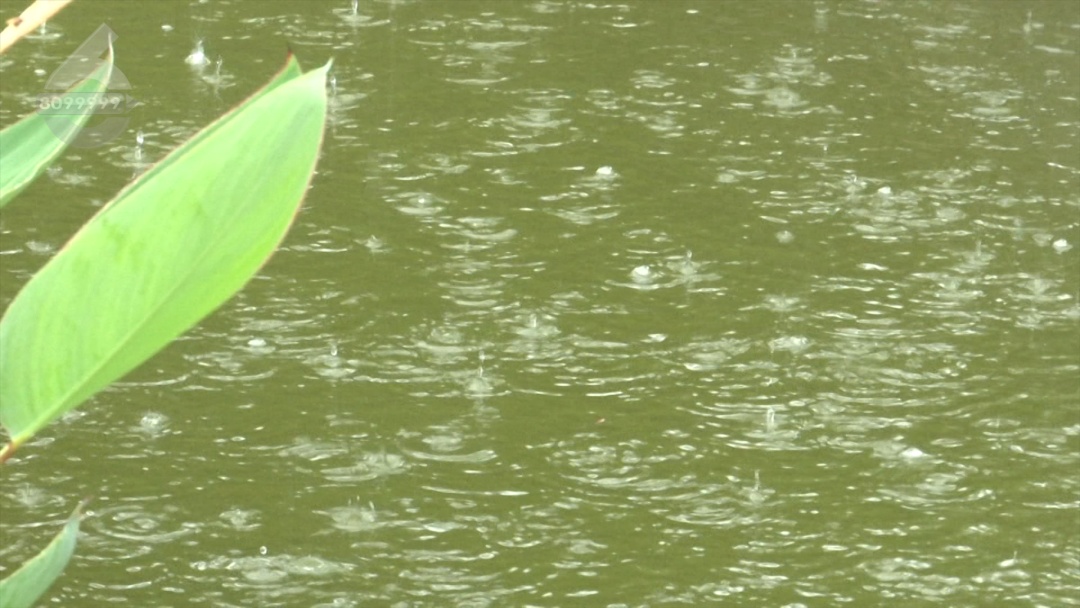 冷到破防!昆明最低仅8℃!冷雨突袭,是倒春寒吗?回暖要等…… 冷到破防!昆明最低仅8℃!冷雨突袭,是倒春寒吗?回暖要等……