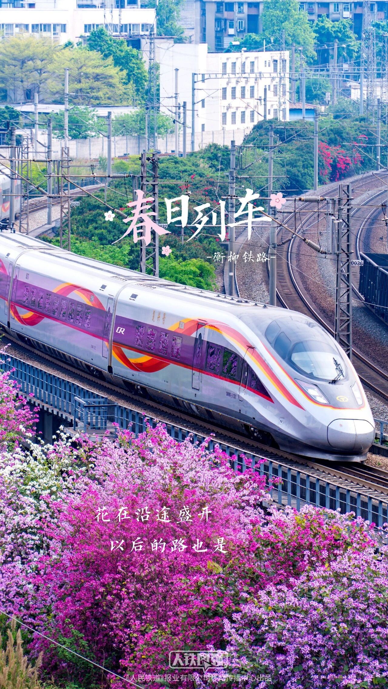 转存收藏!春日花海列车壁纸 转存收藏!春日花海列车壁纸