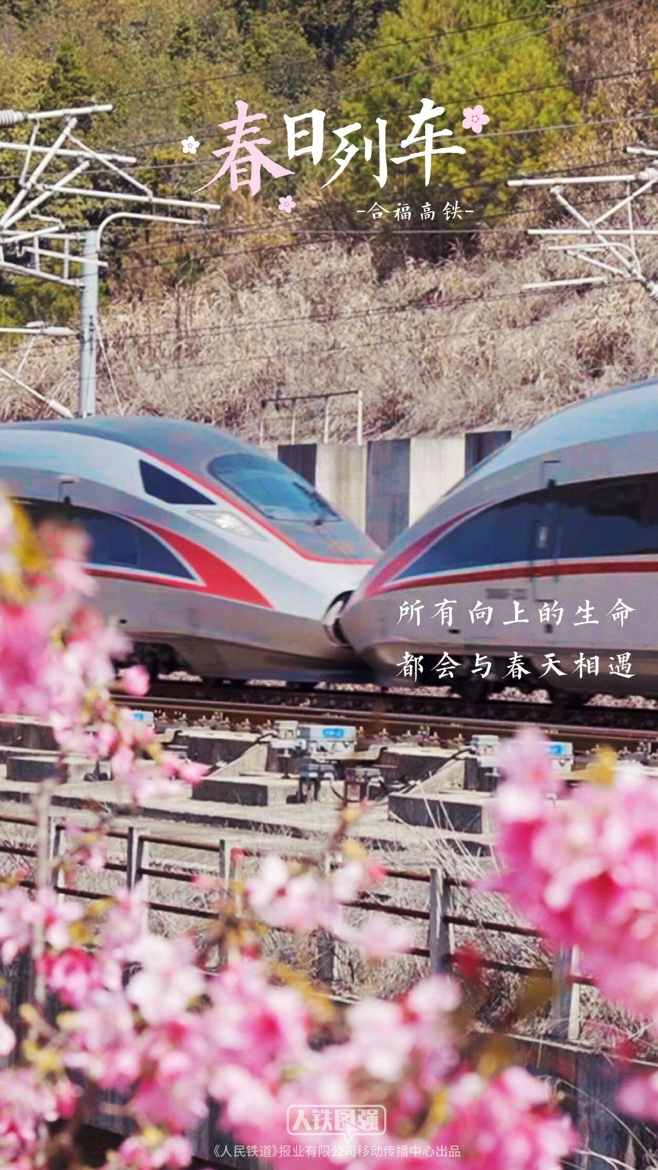 转存收藏!春日花海列车壁纸 转存收藏!春日花海列车壁纸